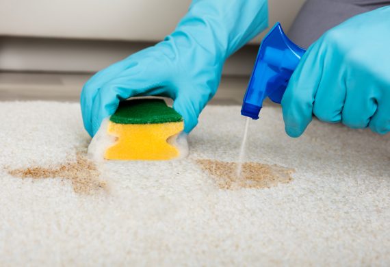 A person spraying and scrubbing dirt off a carpet