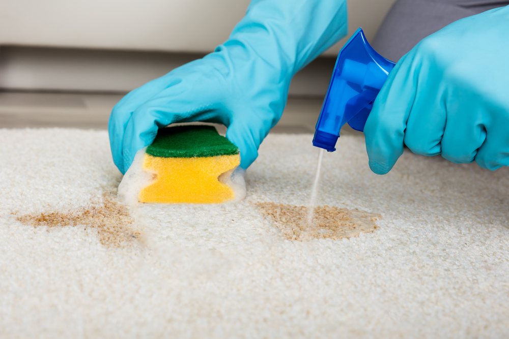 A person spraying and scrubbing dirt off a carpet