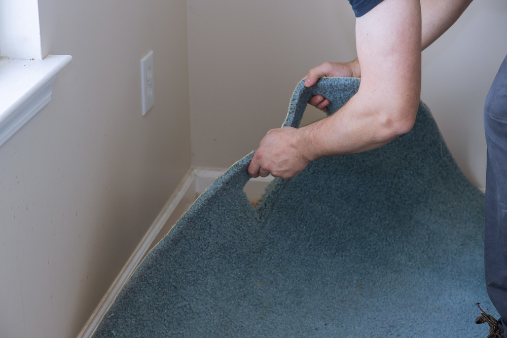 Man pulling up carpet that needs replacing.